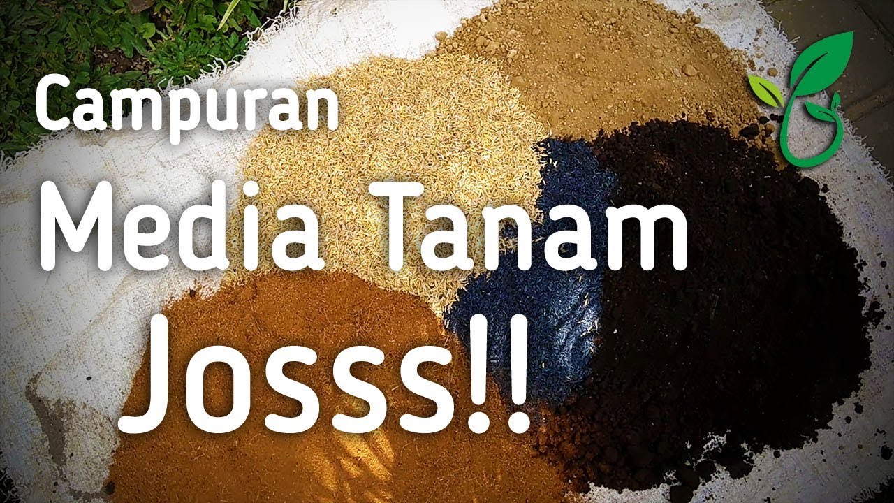 Cara Saya Meracik Media Tanam Tabulampot Subur Gembur