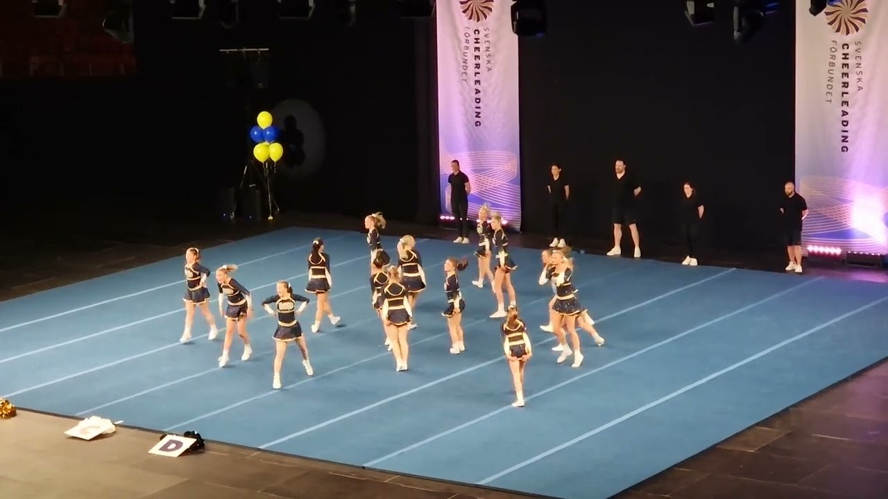 RM2022 - Junior Level 3 - LCD Honeybees