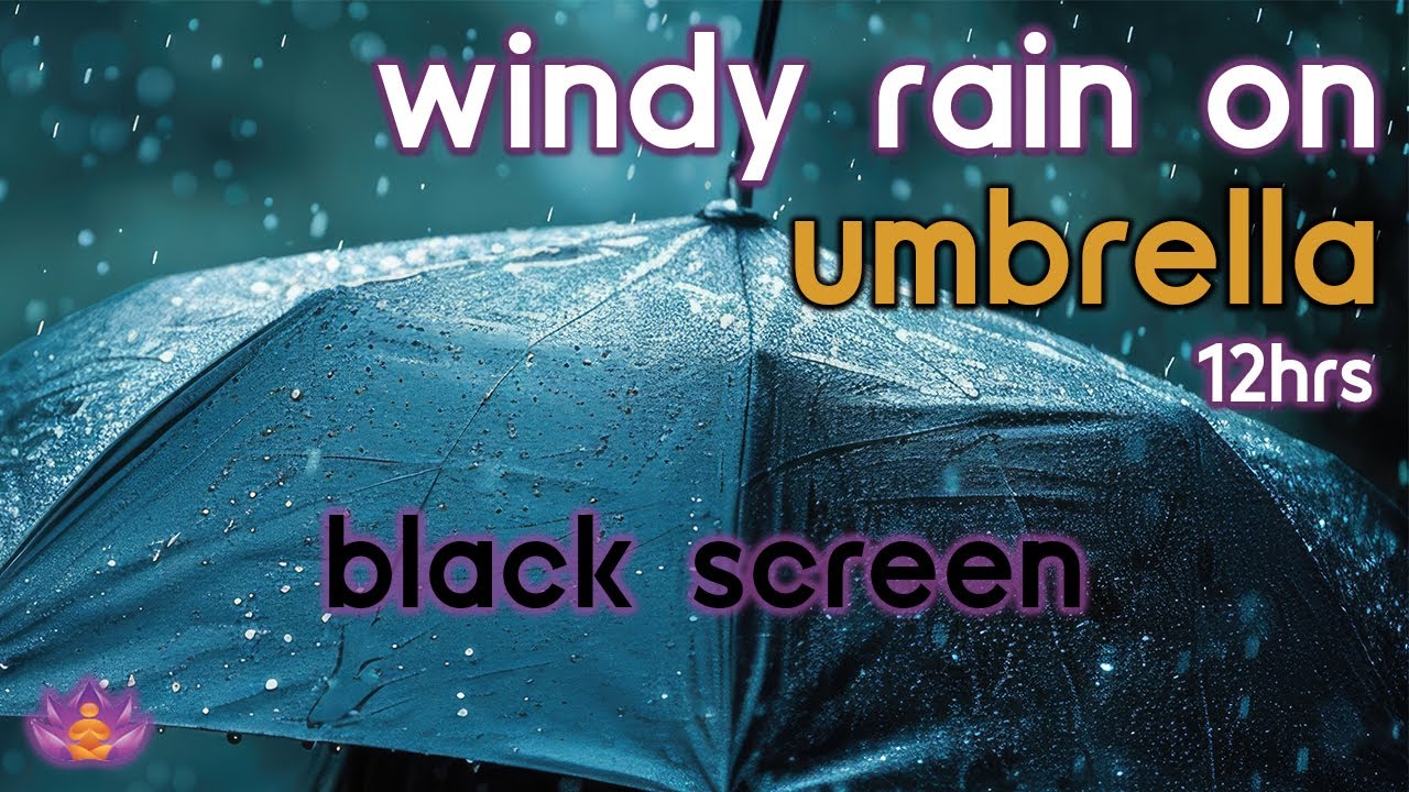 [Black Screen] Windy Rain on Umbrella No Thunder | Rain Ambience | Rain Sounds for Sleeping