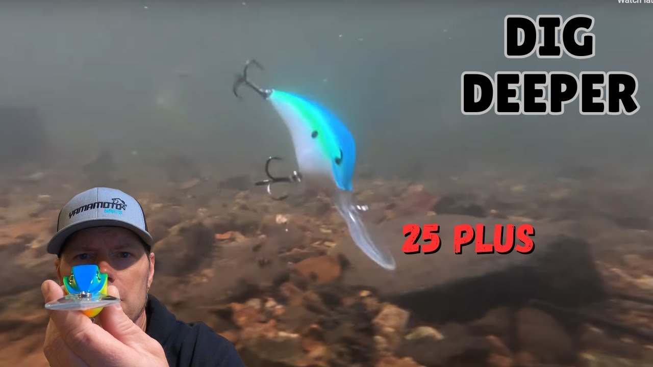 &laquo;Глубоководный зверь: режим зверя&raquo;: обзор Bill Lewis DR 24