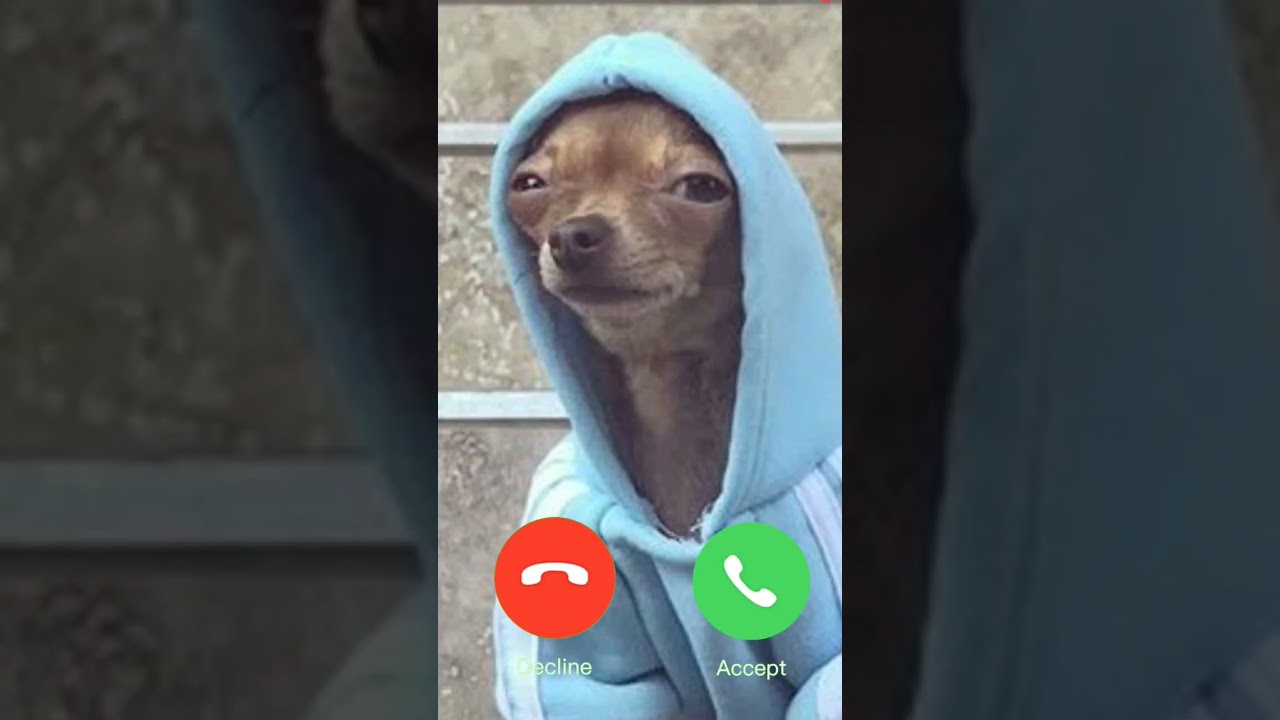 una chiamata da non perdere!!