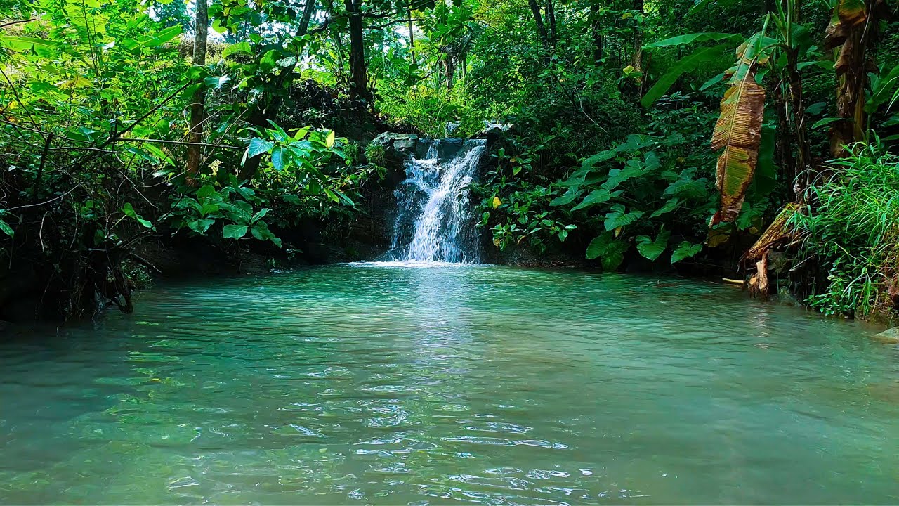 Peaceful Jungle Waterfall & River Sounds for Stress Relief and Deep Relaxation