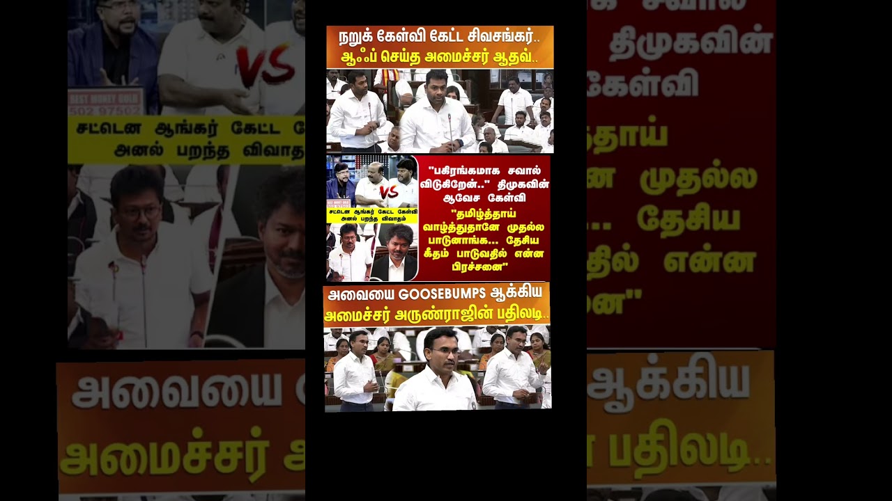 TVK thalapathy vijay love #tvk #dmk #tamil #congress #bjp