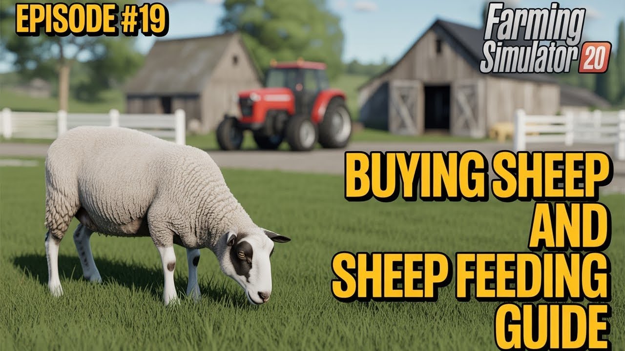 FINALLY BUY SHEEP || OPEND NEW BUSINESS || FARMING SIMULATOR 20 || EPISODE #19 || #fs20 #gamplay 