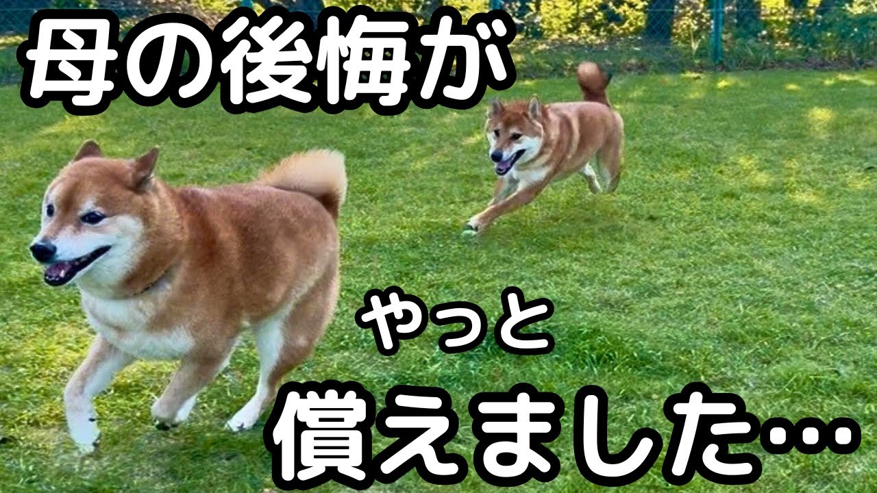 【未公開】大雨リベンジ…あの時はごめんね