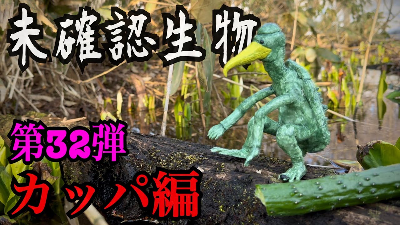 【未確認生物】カッパ見つけるまで終われません！！！