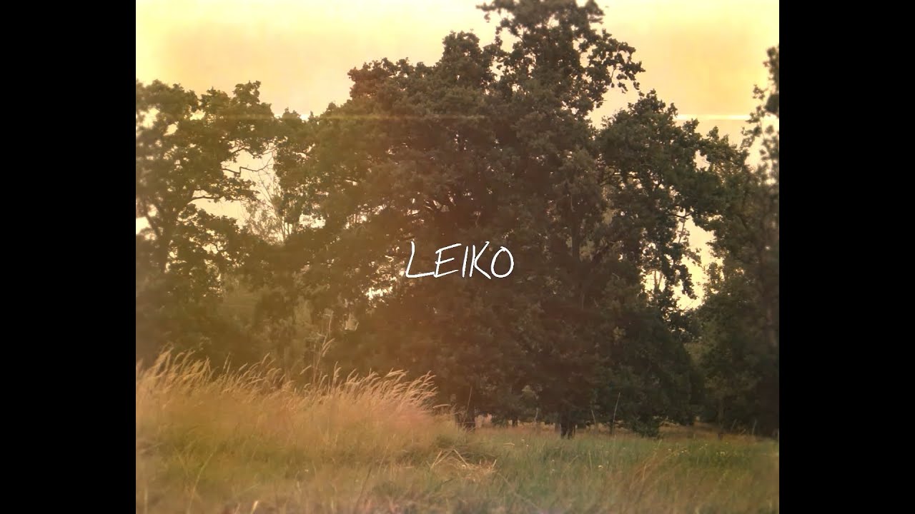 Leiko - Mêler