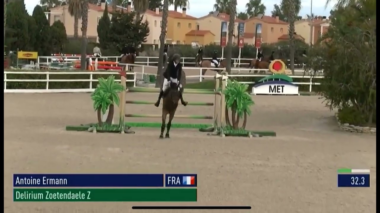 Delirium Zoetendaele Z - MET Oliva - Gold Tour 1.45m