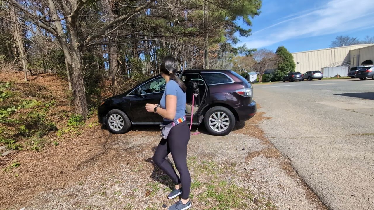 Cassie needing less help to get in the car