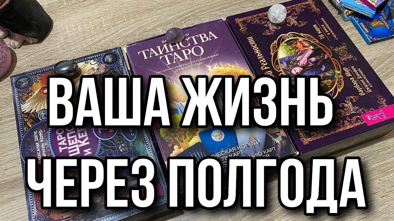 ВАША ЖИЗНЬ ЧЕРЕЗ ПОЛГОДА