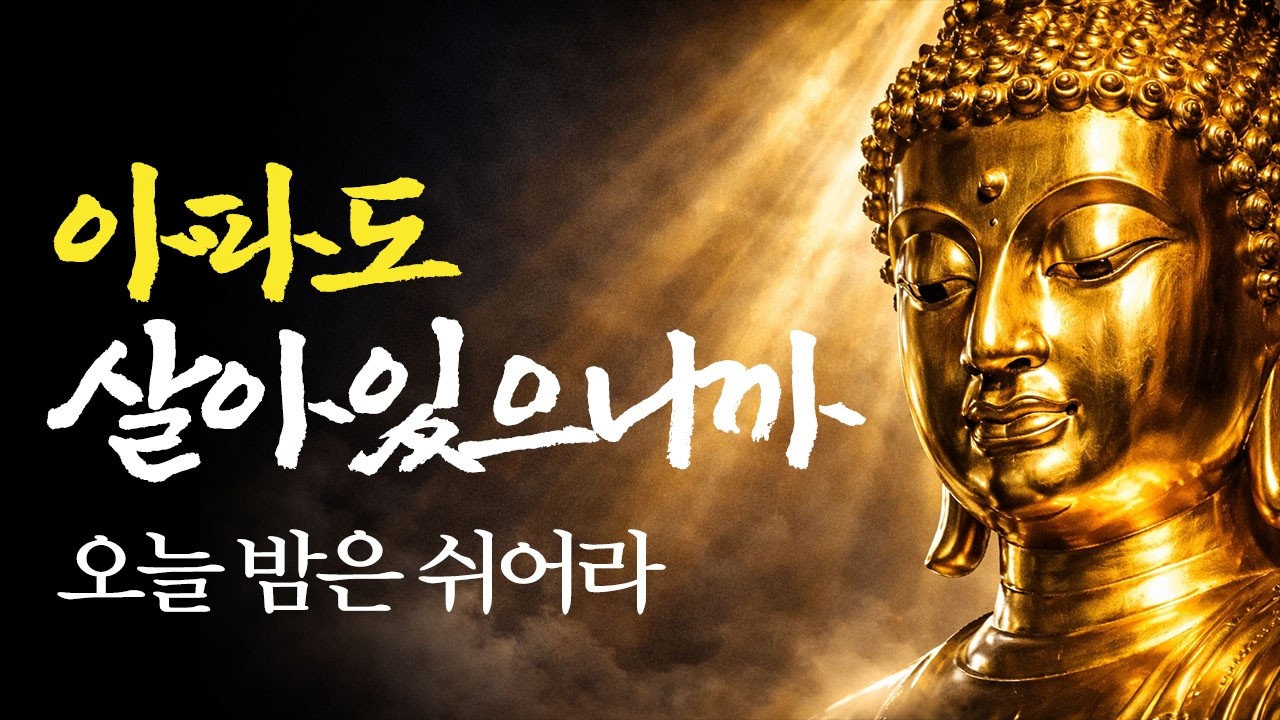 건강이 걱정되어 잠 못 드는 밤에 | 아파도 괜찮다 살아있으니까 | 잠자면서 듣는 석가모니 명언 1시간