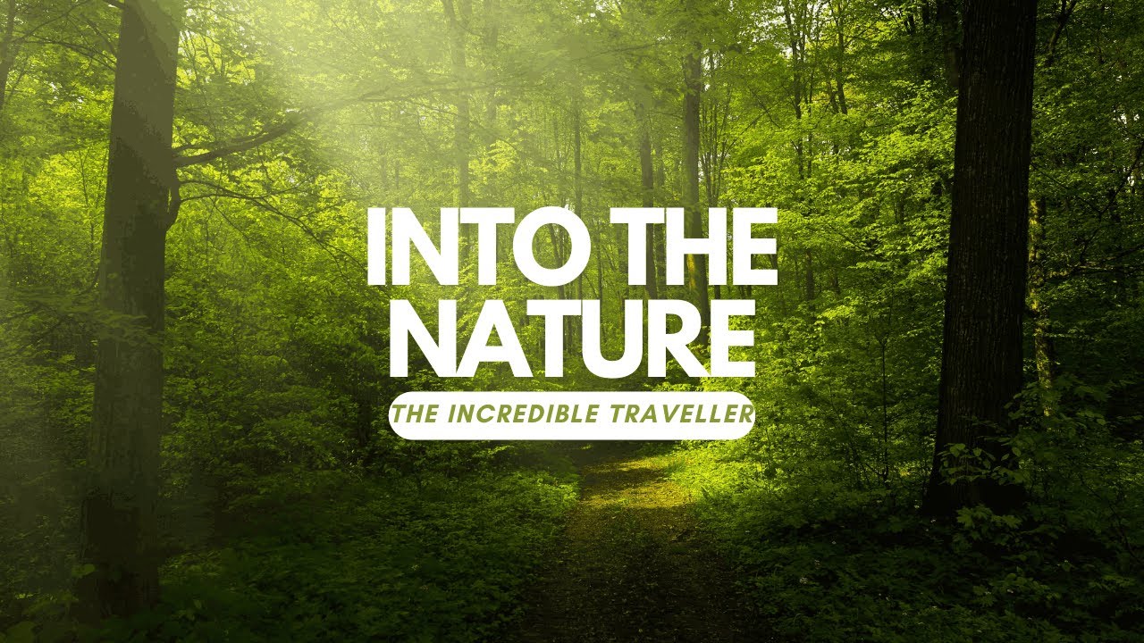 Discovering The Unspoiled Beauty Of Nature: A Voyage Into Paradise #nature #naturetraveller #travel