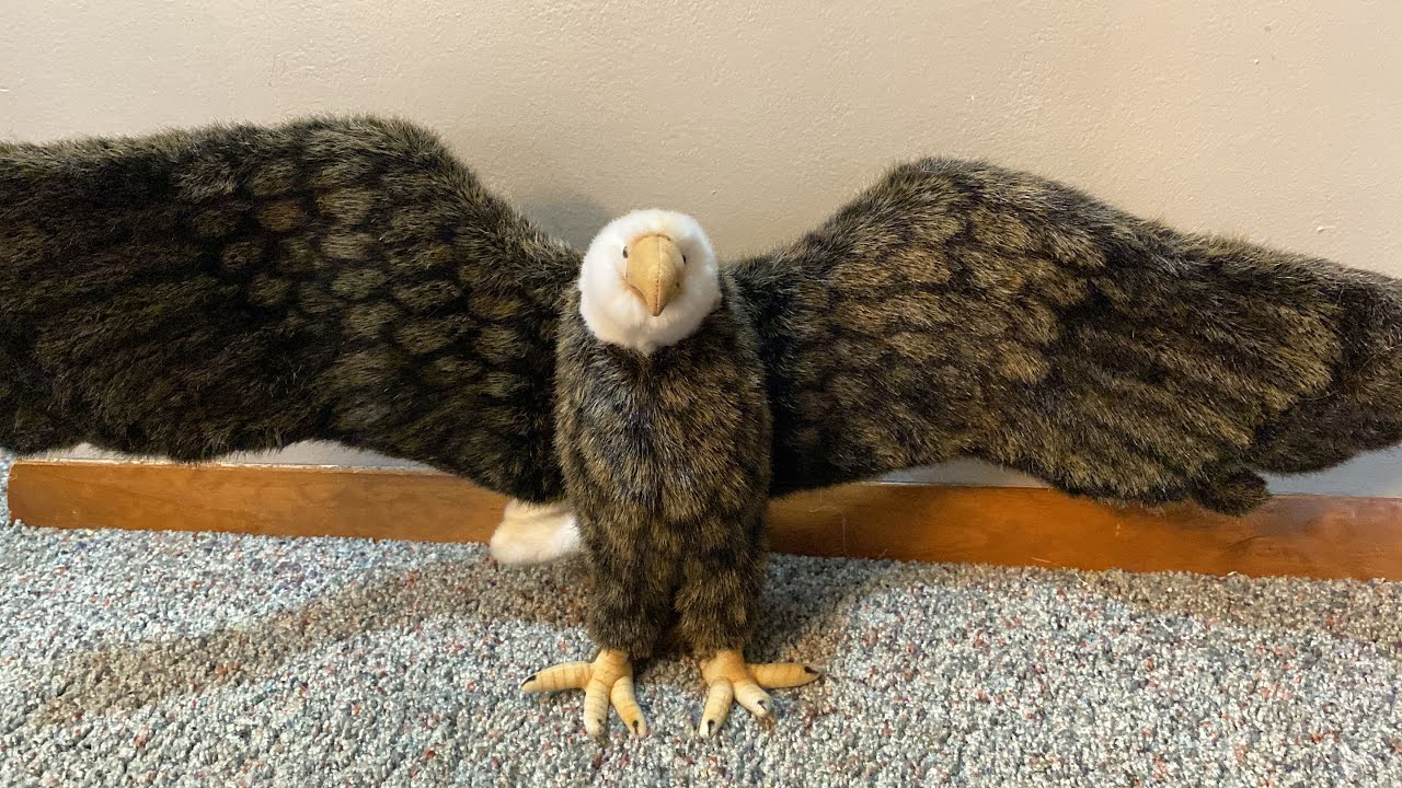 Hansa Bald Eagle Plush Unboxing & Review