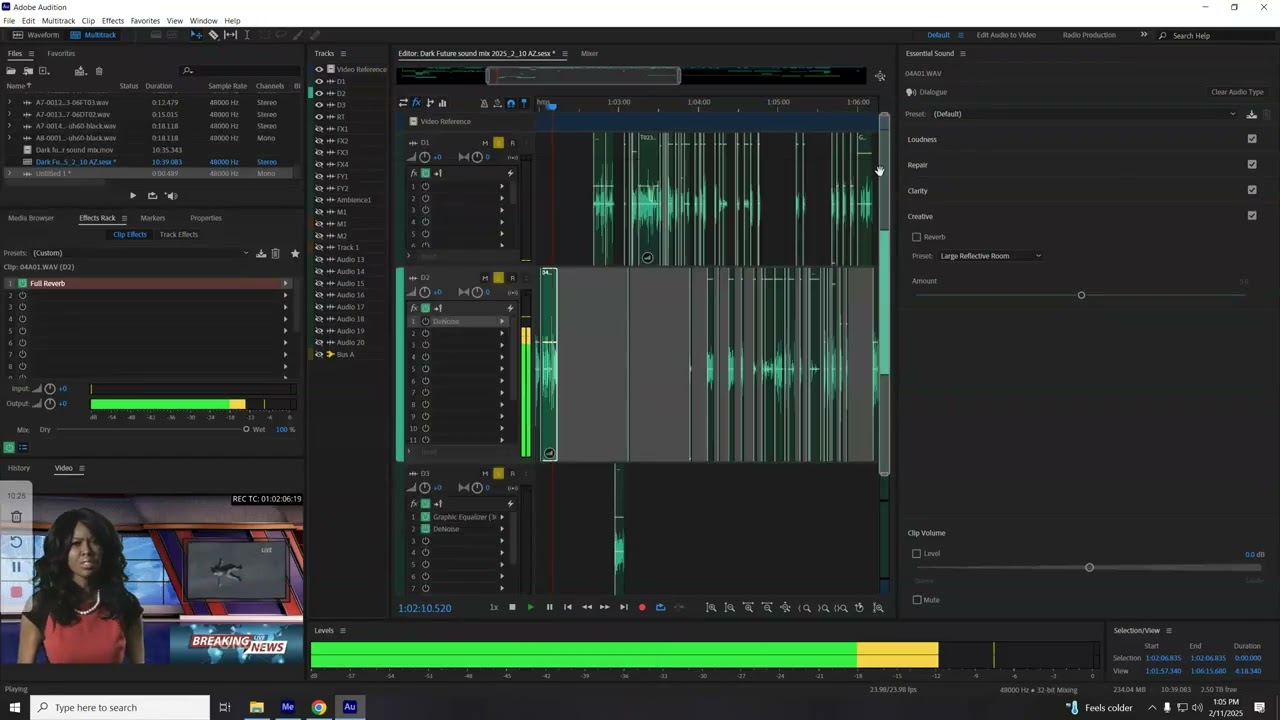 Dialogue editing (basic) and exporting video from audition