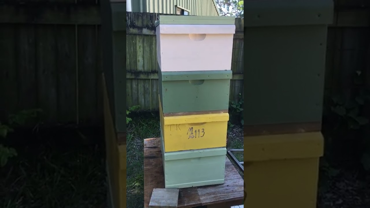 Ep 37: How does a clearer board work for preparing for transporting the hive
