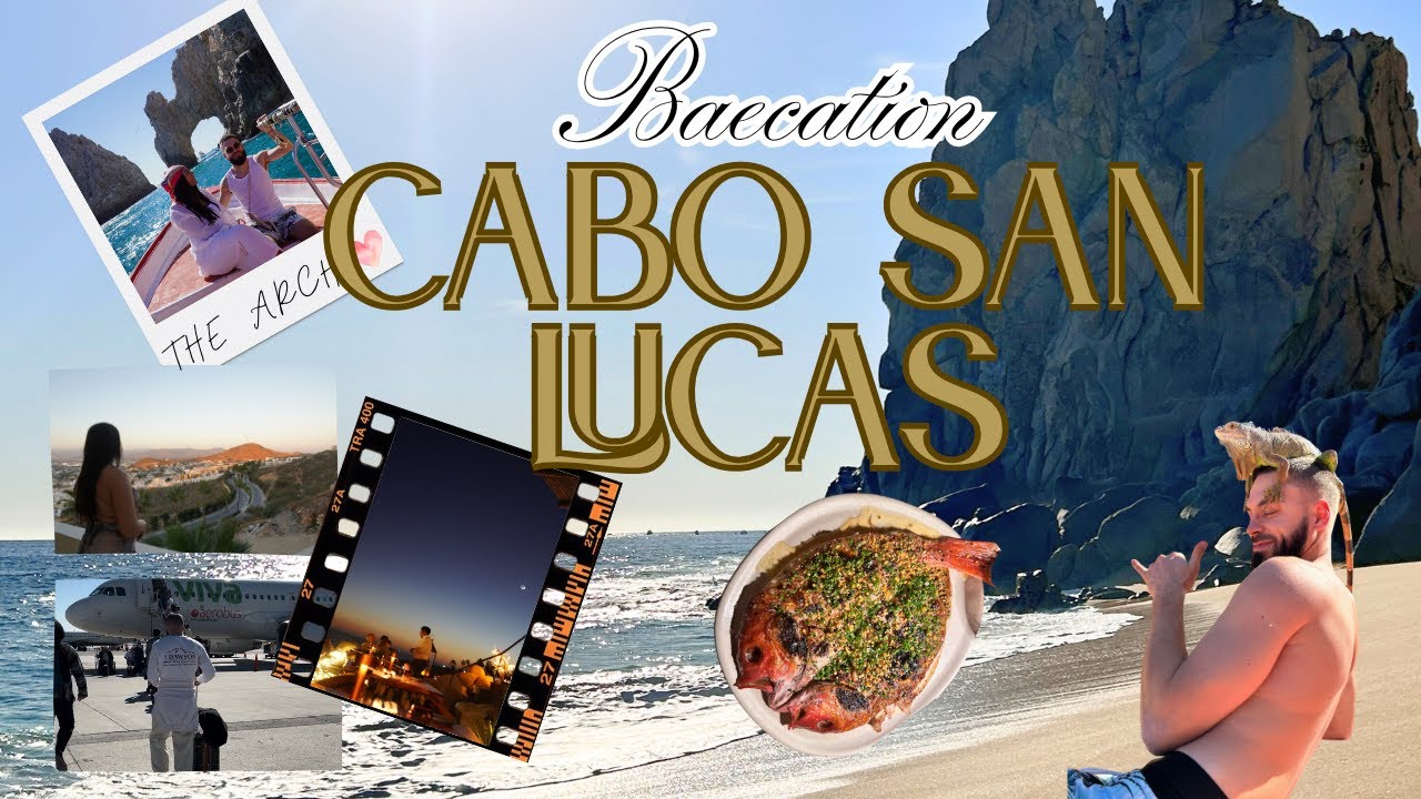 WHALE WATCHING ON LUXURY BAECATION IN CABO SAN LUCAS 🇲🇽 🐋