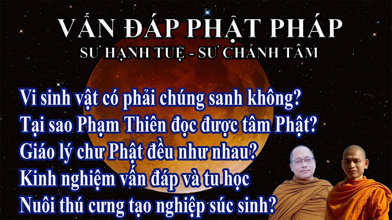 Vấn đáp Phật pháp ngày 12/03/2022 | sư Hạnh Tuệ - sư Chánh Tâm