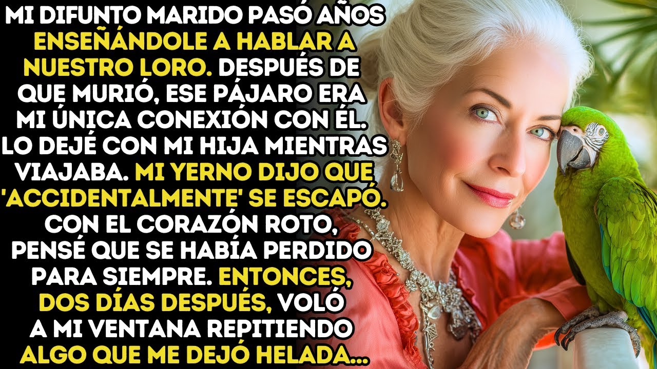 Mi Yerno Soltó El Loro De Mi Difunto Esposo A Mis Espaldas; Luego Lo Encontré Revelando Una Verdad…