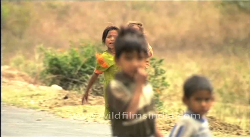 The Three Musketeers from Uttarakhand