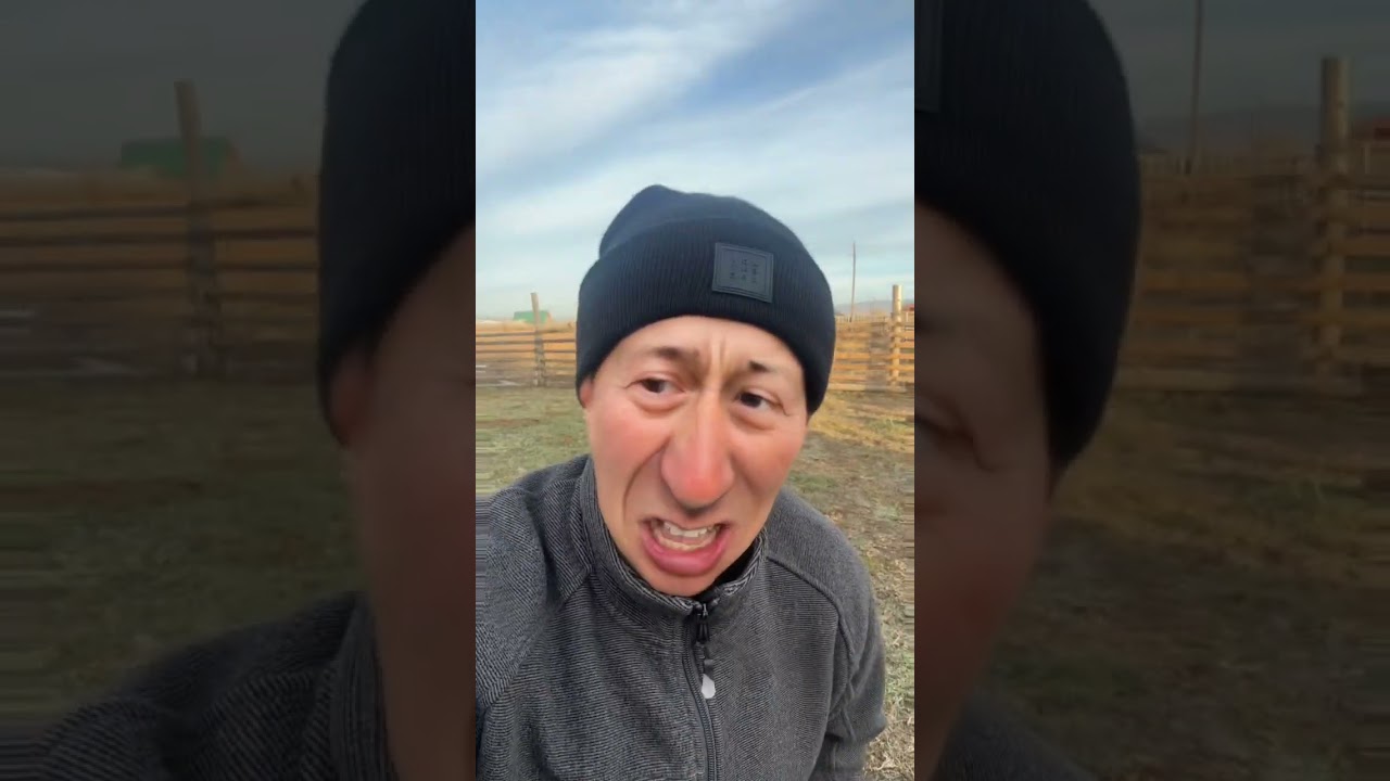 Вещий сон Самбуу😅