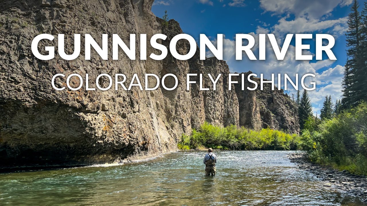 Stunning Wild Browns and Rainbows on the Fly! | FLY FISHING COLORADO