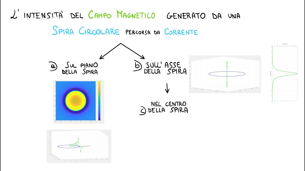 Campo Magnetico lungo l'Asse di una Spira Circolare percorsa da Corrente