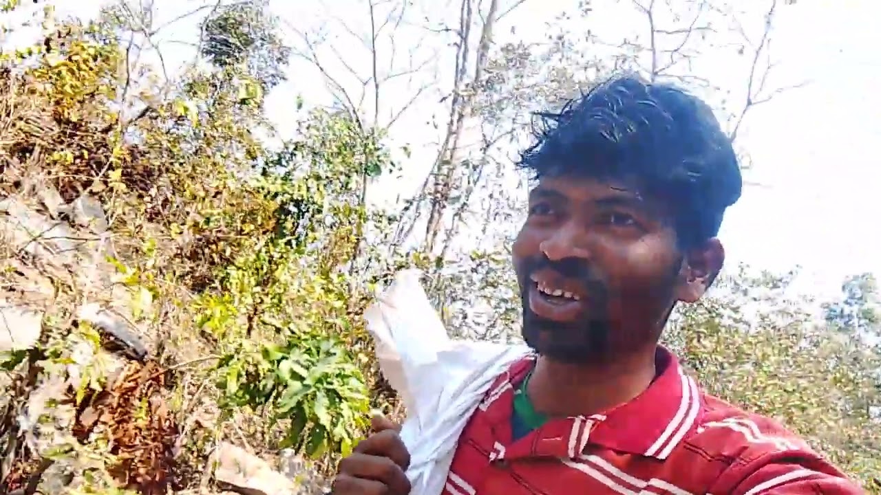 Jungle ke Raja#viral #vlog 