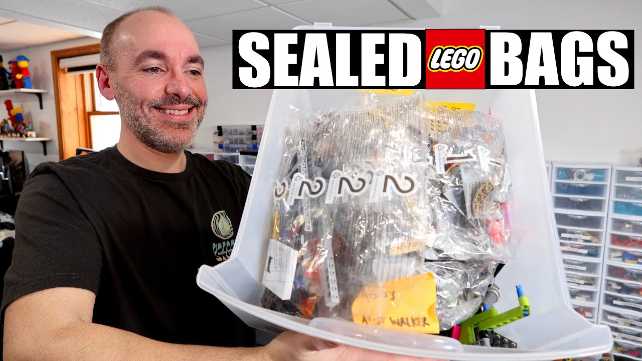Sealed LEGO Set Bags Found at the Yard Sale