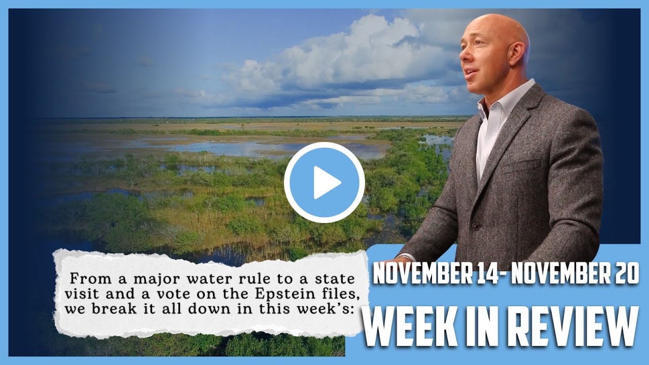 [Week In Review] Week in Review: Release the files| November 14 - November 20