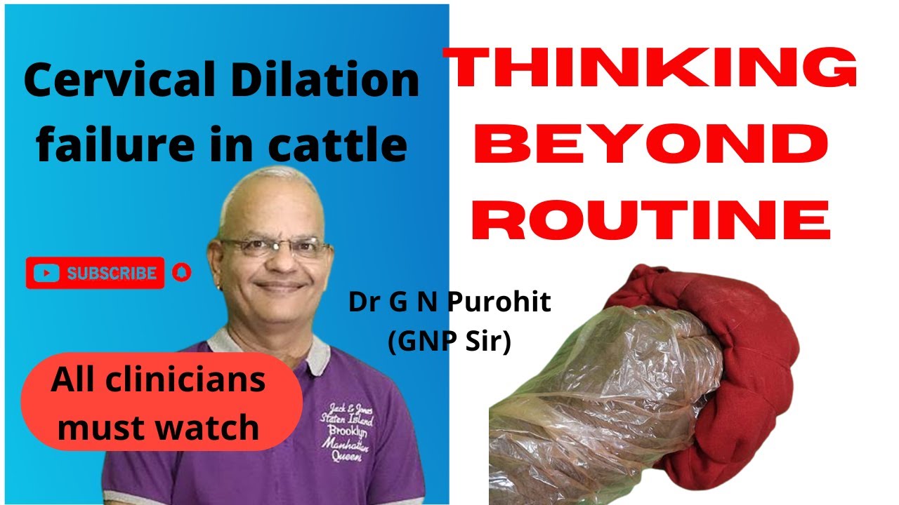 Unbelievable Results from a New Veterinary Cervical Dilation Trick!