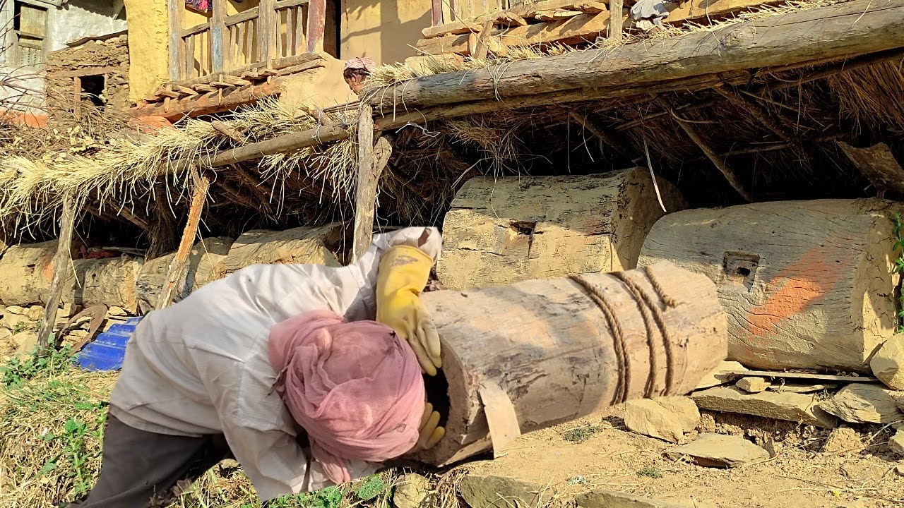 Shifting Bees from the Tree To The Hive(Ghar) || Traditional Way Bee Farming || Primitive lifestyle