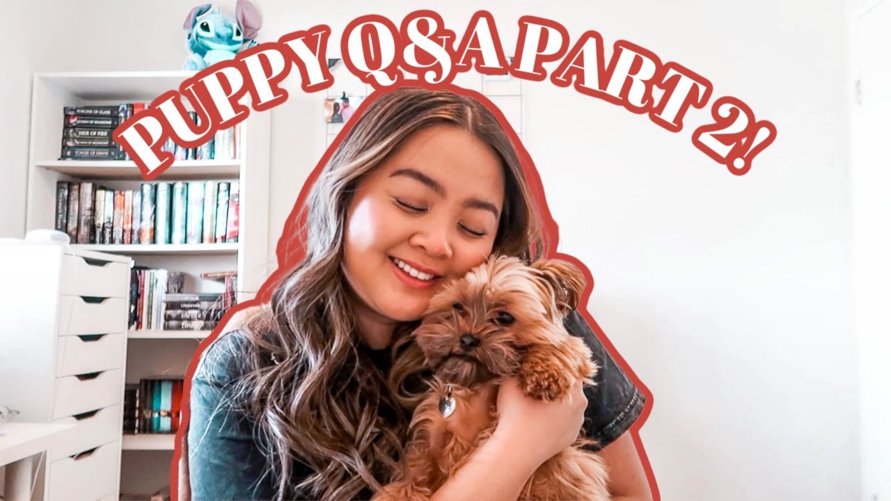 PUPPY BITING, TEETH BRUSHING & MORE | Q&A DOG VLOG