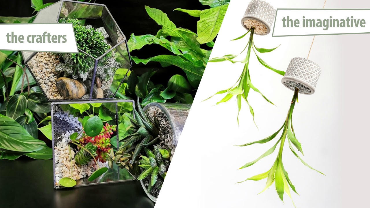 Learn how to Make House Plants Mess Free using this Patented New Craft Resin Spray!