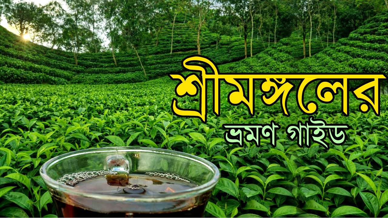 শ্রীমঙ্গল কোথায় যাবেন? | চা বাগানের শহর | Srimangal Tour Guide | Tea Garden & Nature 2026