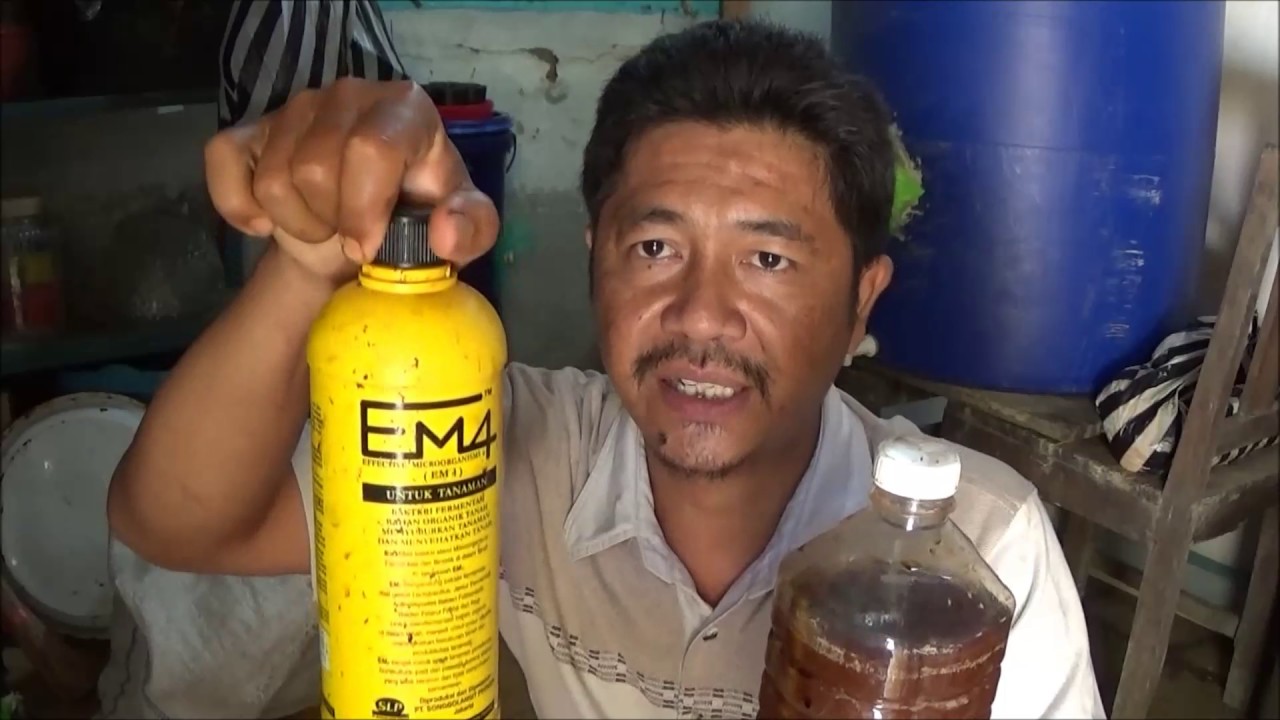 Cara Pembuatan Air Lindi dan Pemanfaatannya untuk Pupuk Cair Berkebun Organik di Pekarangan