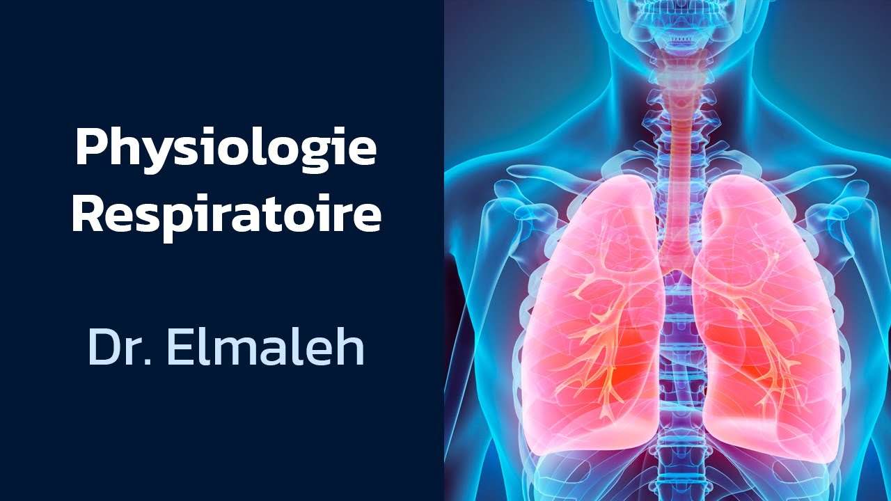 Physiologie respiratoire