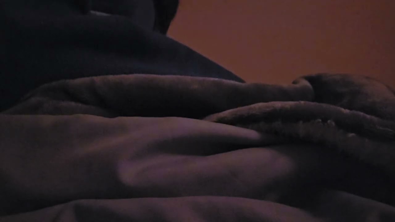 Day Day Meditate #161 - 20260208am