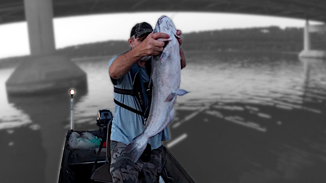How to Target and Catch Big Active Summer Catfish | Catch Clean and Cook