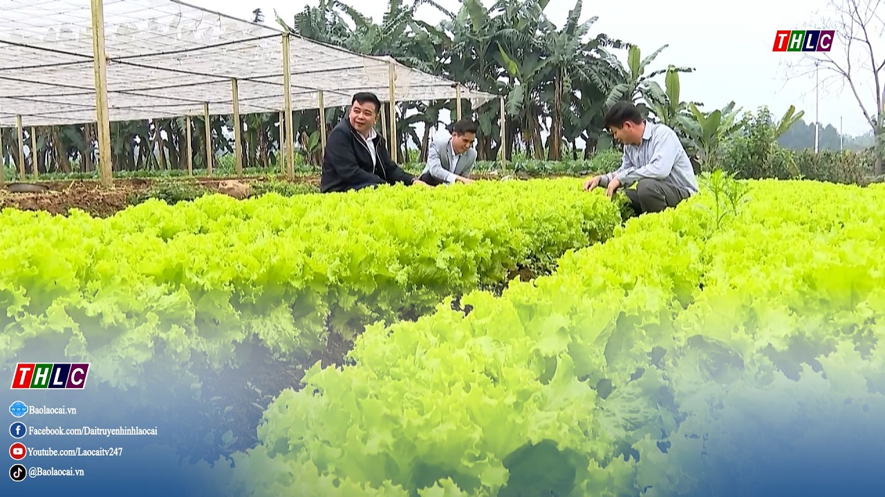 “Dân là gốc” – Tinh thần Đại hội XIV của Đảng | THLC
