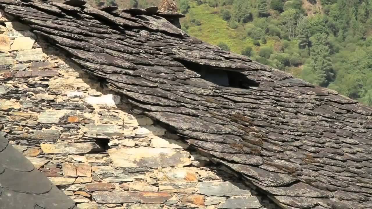 La casa viva