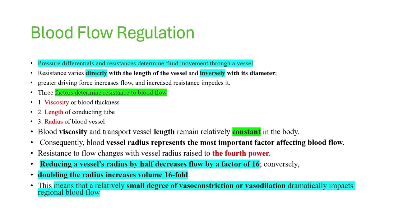 The Cardiovascular System 2