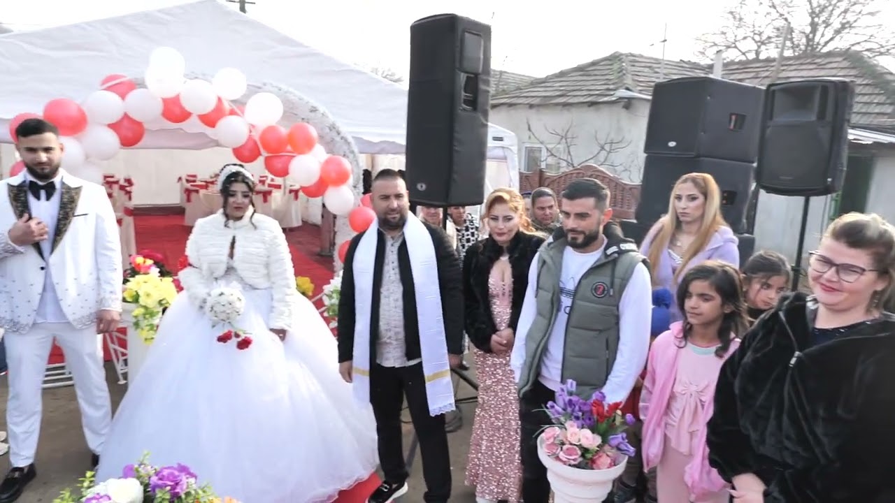 logodna stefan si teodora