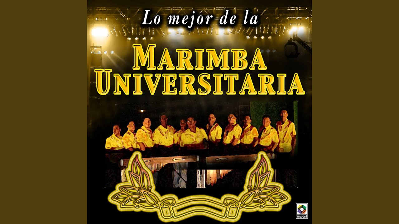 La Tortuga Del Arenal