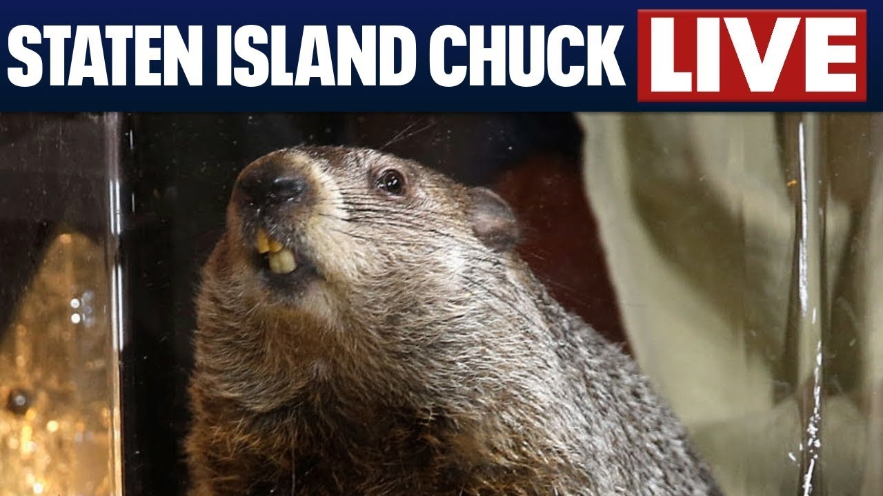 Staten Island Chuck: Live 2026 Groundhog Day prediction from NYC 🔴🗽❄️