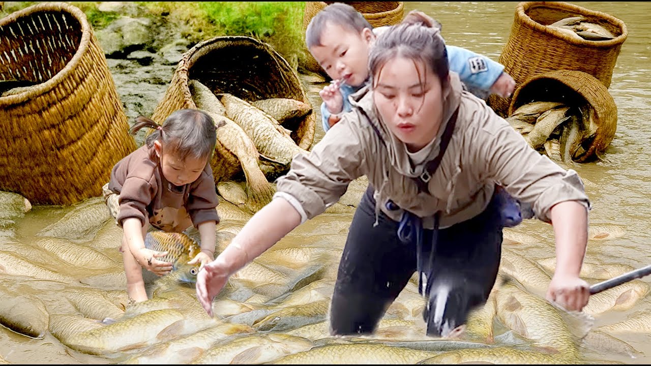 Biggest Summer Catch! Monster Pond Fish 100KG+ to Sell at Market & Cook for My Daughter