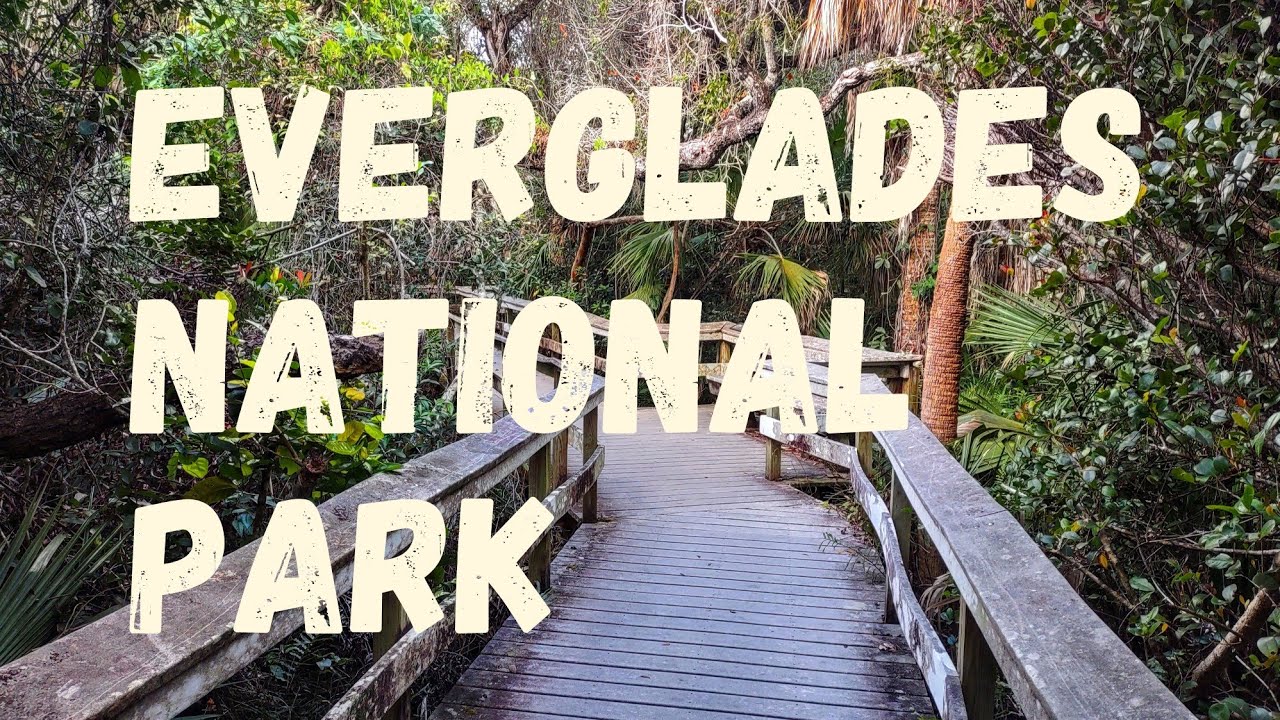 EXPLORING THE EVERGLADES!