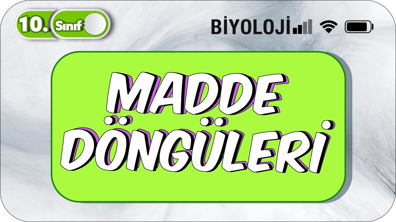 Madde Döngüleri | Tek Videoda Özet #2023