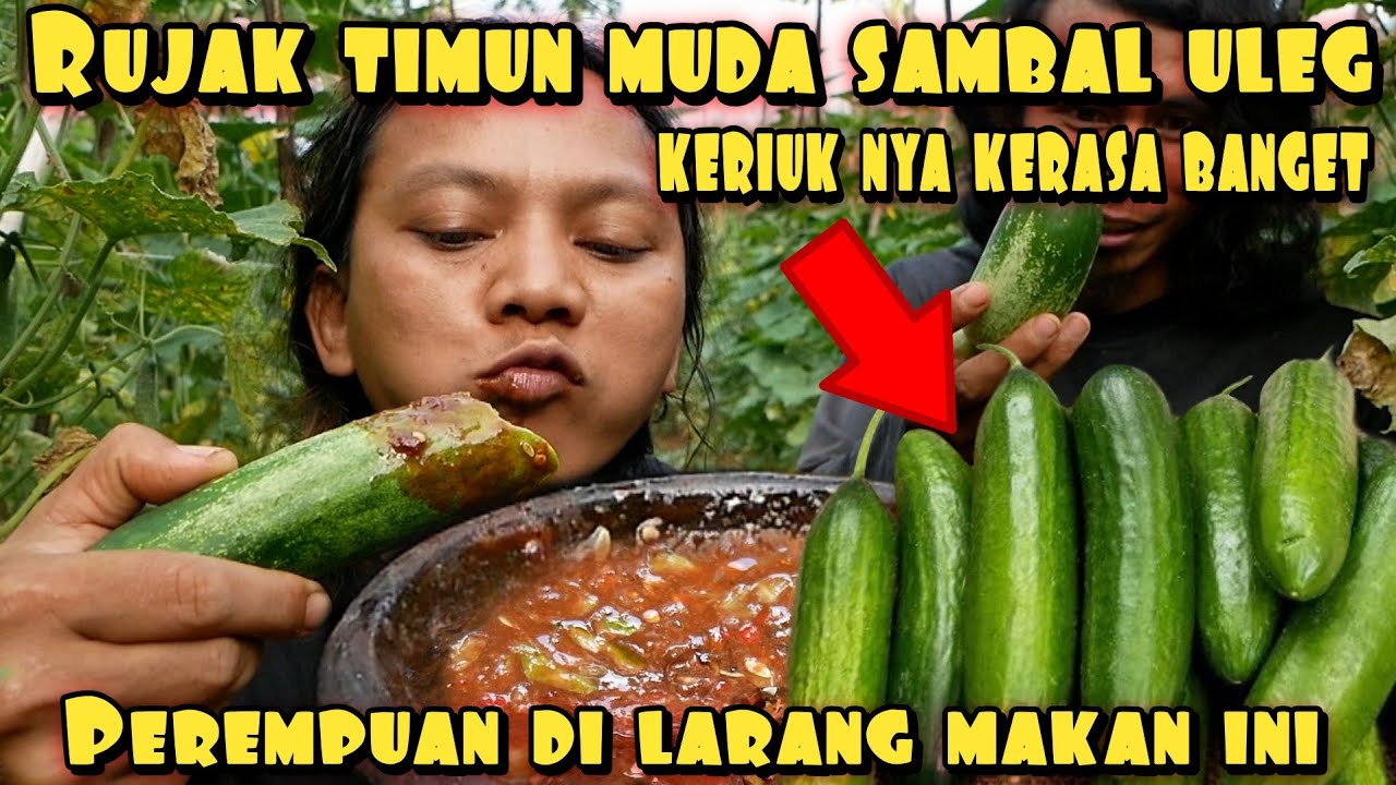 RUJAK TIMUN MUDA SAMBAL ULEG DADAKAN