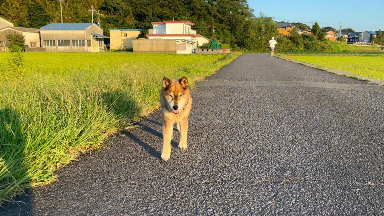 2022令和4年11月　さよならラッキー