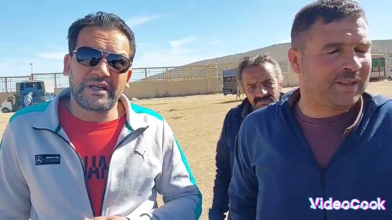 بقر🐄 حلوب موبيليار والأعلاف غالية والموال في ورطة  يوم في،سوق ولاية سعيدة   26/03/2023